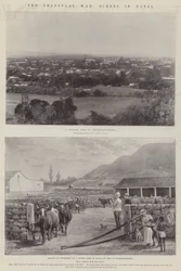 Transvaalská válka, scény v Natalu